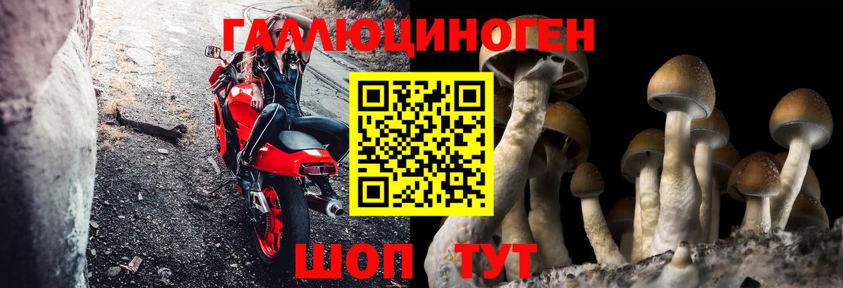 Псилоцибиновые грибы GOLDEN TEACHER Красноуфимск